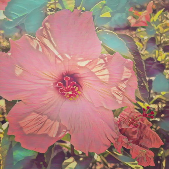 Meet your Posher, Erica - Picture 4 of 4